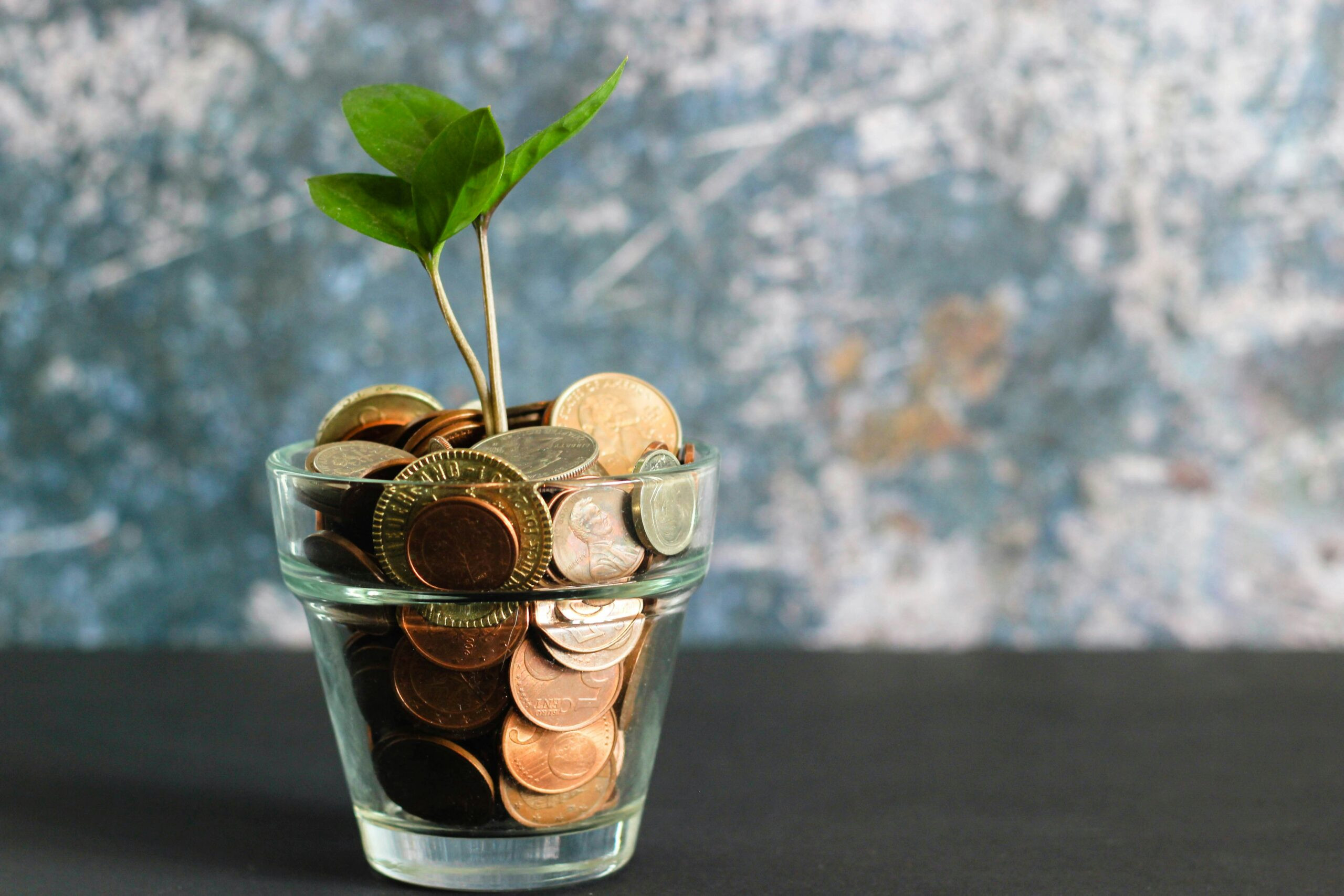 Financial Sustainability