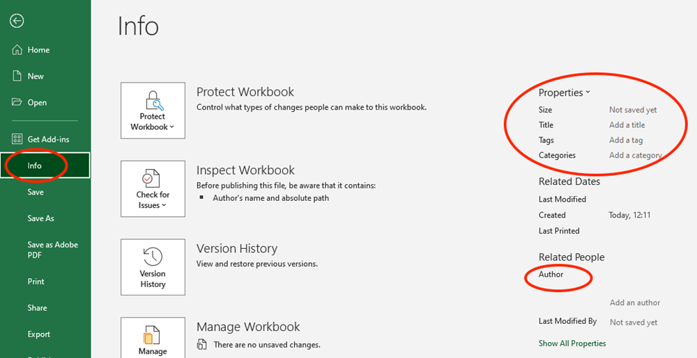 Excel “Info” screen under the File tab shows workbook protection options and file properties like title, tags, and author.