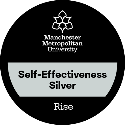 Self-Effectiveness Silver badge